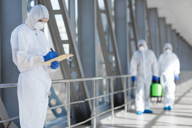 Mold Removal for HVAC Installations in Burton, SC