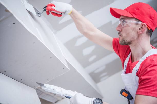 Best Environmental Consulting for Mold Prevention  in Burton, SC